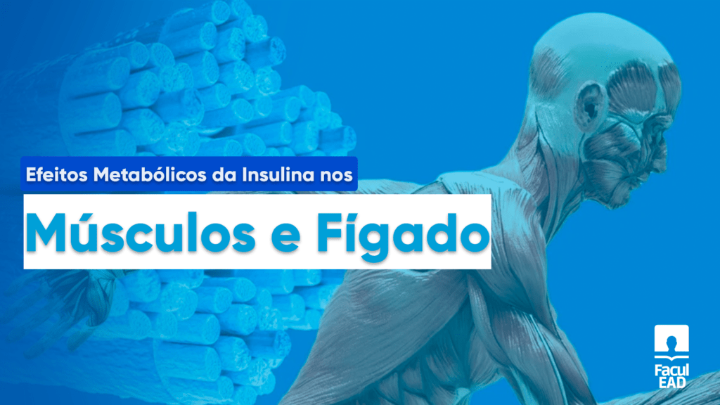 Insulina: 10 Efeitos nos Músculos e Fígado - Facul.EAD Para você, futuro profissional da saúde, entender os efeitos metabólicos da insulina é essencial!